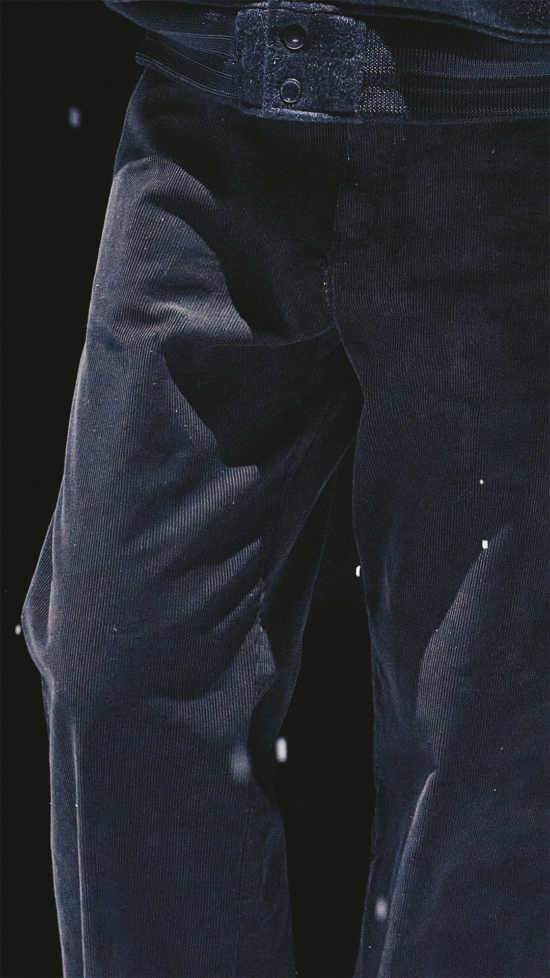N.HOOLYWOOD COMPILE × Dickies