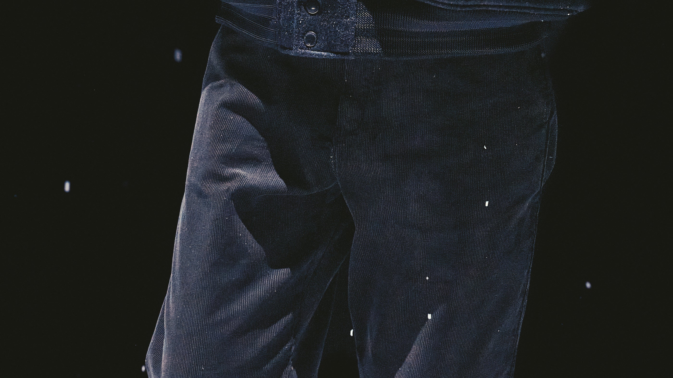 N.HOOLYWOOD COMPILE × Dickies